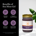 Dr. Sebi's Elderberry Sea Moss Gel
