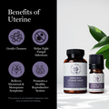 Dr. Sebi's Feminine Health Bundle – Uterine Wash & Uterine Oil