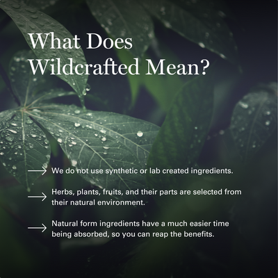 Dr. Sebi's Elderberry Sea Moss Gel